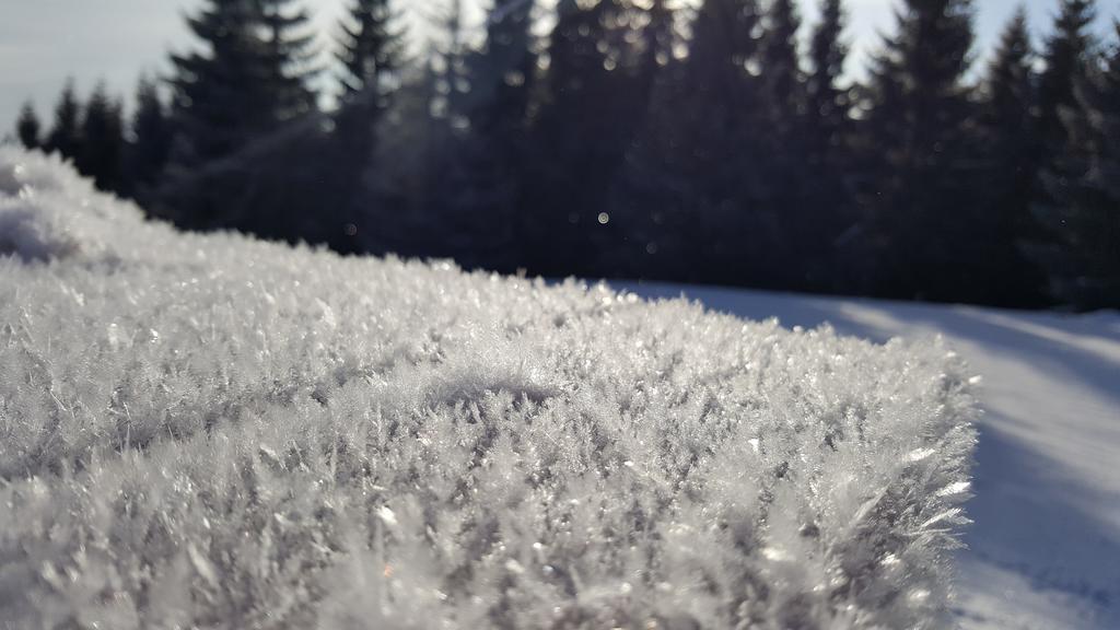 Chata Alpina Ruzomberok Exteriör bild